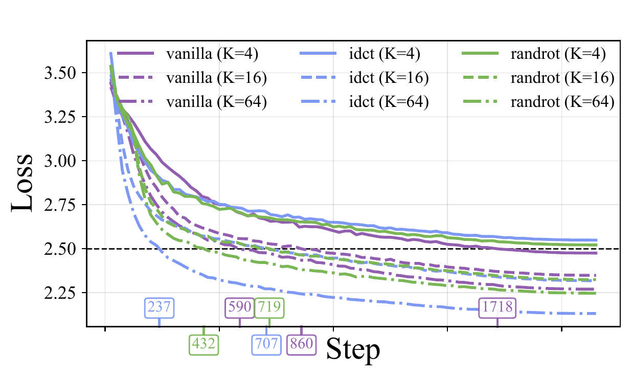 Development loss for coefficient, inverse-DCT, and random-rotation coordinates